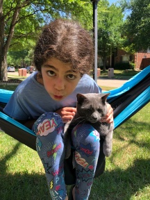 hammock cat